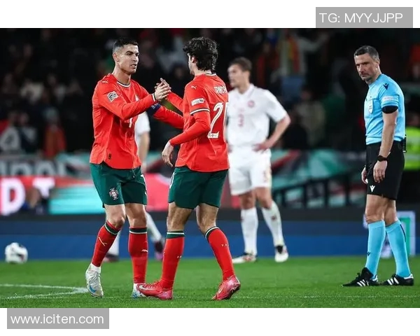 2011年葡萄牙与荷兰激战回顾：精彩瞬间与战术分析