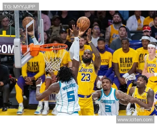 2006年NBA季后赛黄蜂队对决精彩回顾与赛季亮点分析