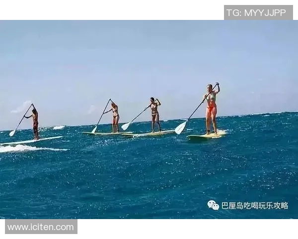 广州极限运动队团队协作的成功之道与挑战分析MBA