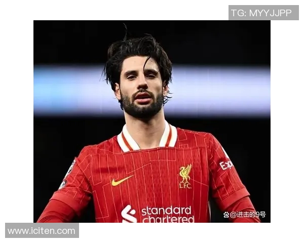 探索索博斯洛伊的历史与文化遗产及其对现代社会的影响与启示