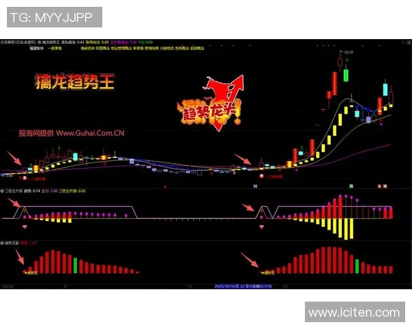 专访杨敏揭秘DOTA2成功秘诀与未来发展方向探讨